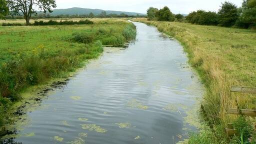 Foto "Puxton" de Brian Robert Marshall (CC BY-SA) / Recortada de la original