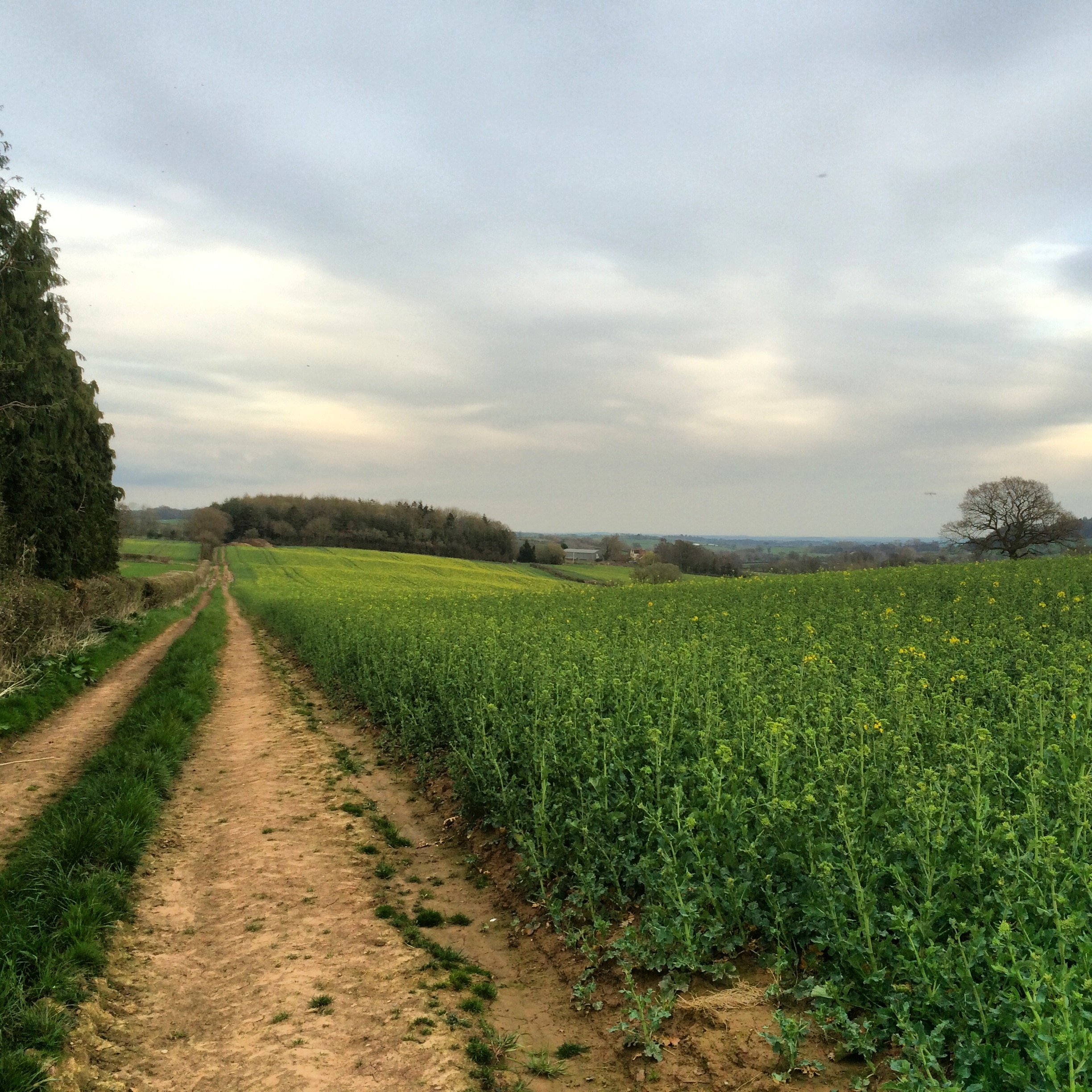 Photo "Monkhopton" by L. Carlos (CC BY-SA) / Cropped from original