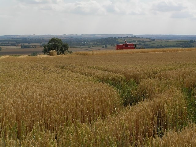 Pause in the Harvest. Combine harvester takes Sunday off as the previous evening brought welcome prolonged heavy rain across the area. Taken a little North of Wrelton village, North Yorkshire, Great Britain.