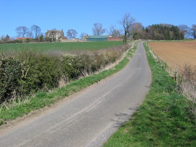 Foto “Leavening” tomada por Stephen Horncastle (CC BY-SA); recorte de la original
