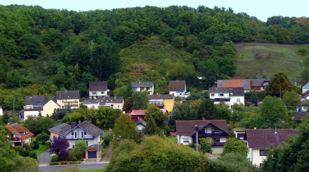 Foto „Bärenbach“ von giggel (CC BY)/zugeschnittenes Original