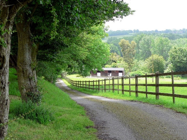 Track to Cherry Tree Cottage Are horses returning to the numbers of medieval times?