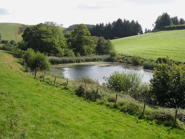 Pond near Pen-y-Parc