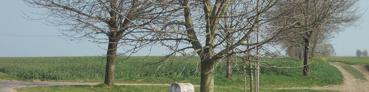 Photo "Old signpost near Naundorf (Gössnitz, Altenburger Land district, Thuringia)" by Jwaller (Creative Commons Attribution-Share Alike 3.0) / Cropped from original