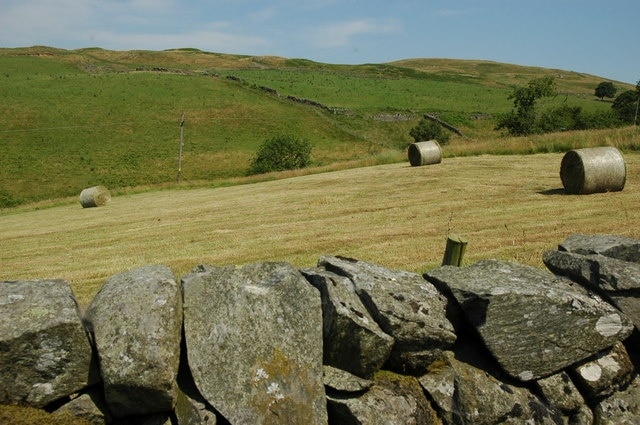 Hayrolls on farmland near Moniaive.