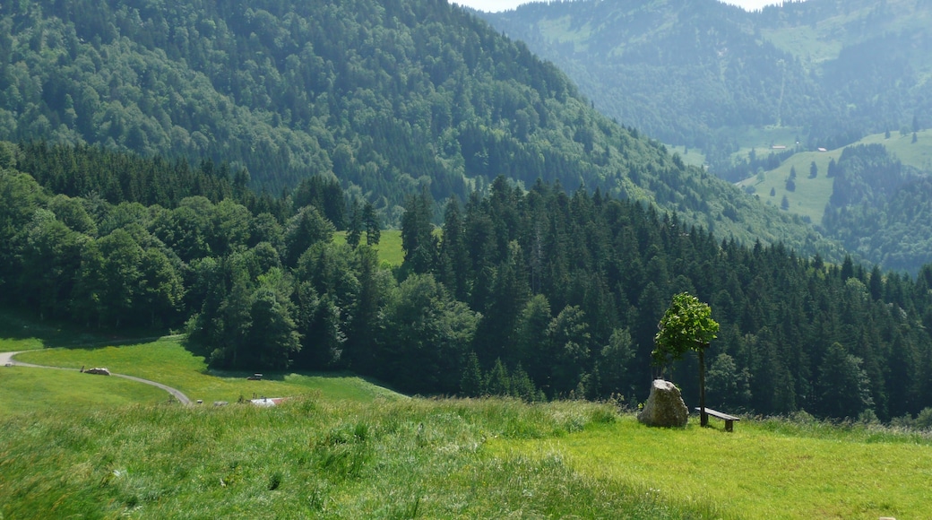 Foto "Oberstaufen" por qwesy qwesy (CC BY) / Recortada de la original