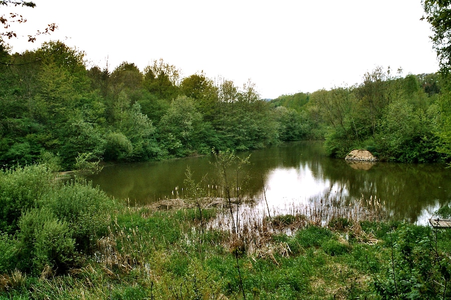 Osterbrücken (St.Wendel), biotop