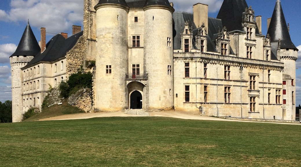Chateau de la Rochefoucauld (Lâu đài), La Rochefoucauld-en-Angoumois, Charente, Pháp