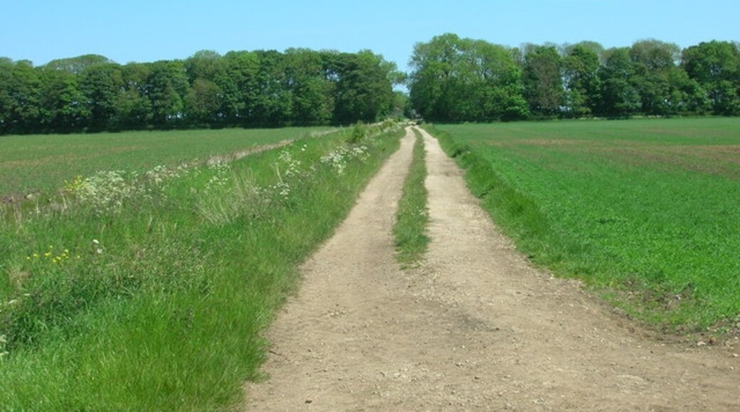 "Seamer"-foto av JThomas (CC BY-SA) / Urklipp från original