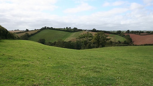 Photo "Cheriton Fitzpaine" by Martin Bodman (CC BY-SA) / Cropped from original