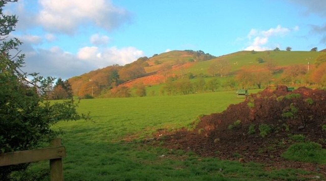 Foto "Blindbothel" de Mick Garratt (CC BY-SA) / Recortada do original