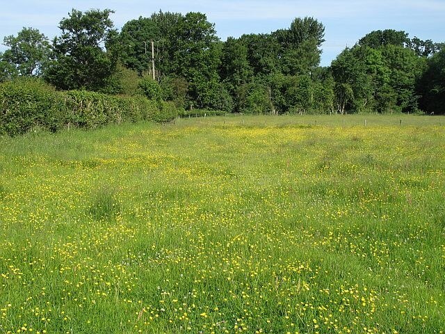 "Ashford Carbonel"-foto av Richard Webb (CC BY-SA) / Urklipp från original