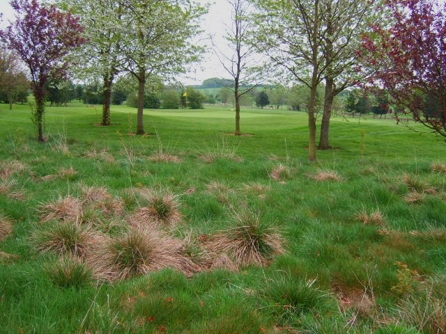 "Chalgrave"-foto av John Poyser (CC BY-SA) / Urklipp från original