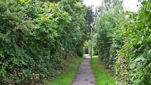 Photo "Hedge End" by Richard Dorrell (CC BY-SA) / Cropped from original