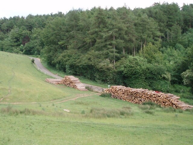 Photo "Winstone" by Sharon Loxton (CC BY-SA) / Cropped from original