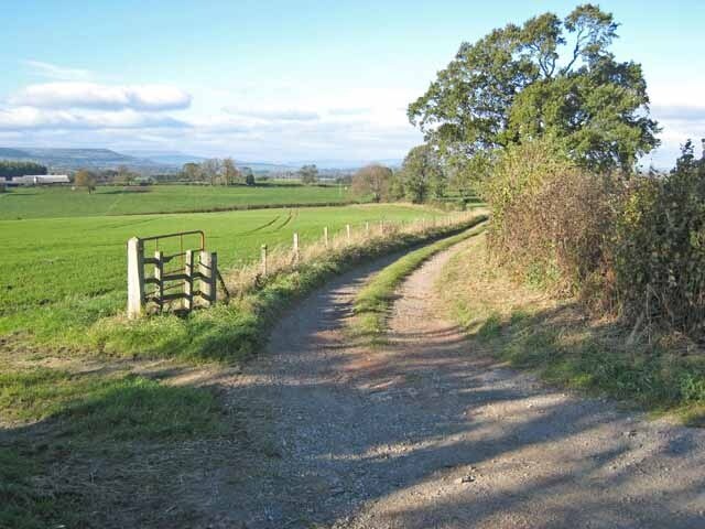 Photo "Thirn" by Oliver Dixon (CC BY-SA) / Cropped from original