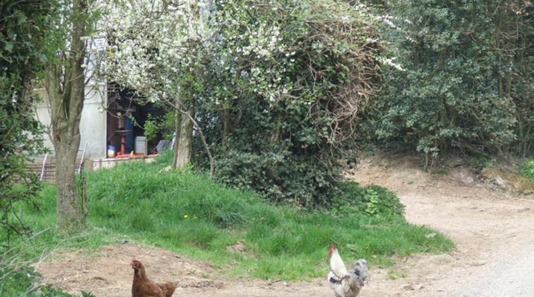 Foto „Alveley“ von Roger Kidd (CC BY-SA)/zugeschnittenes Original