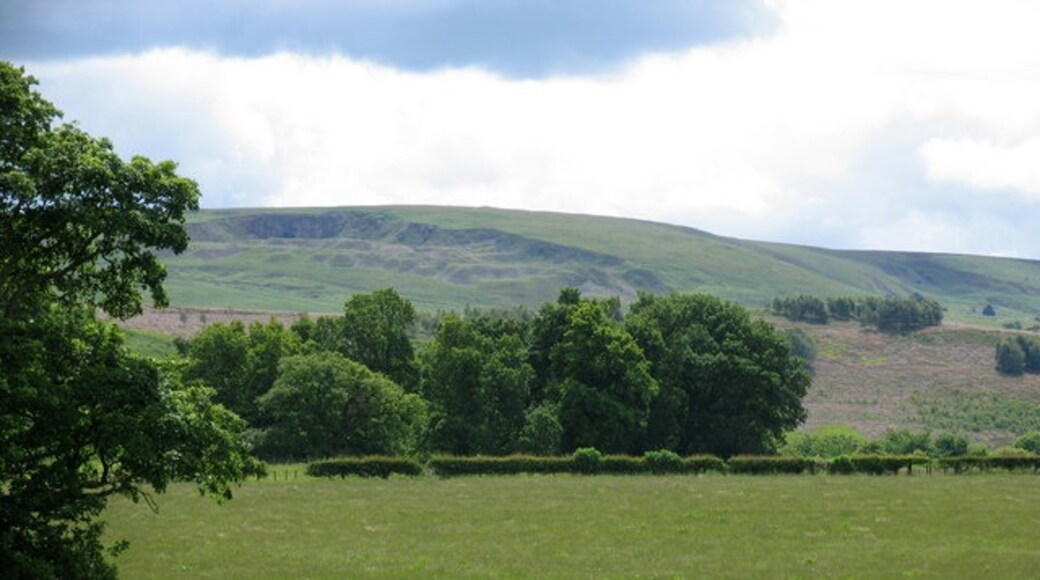 "Neder Silton"-foto av David Rogers (CC BY-SA) / Urklipp från original