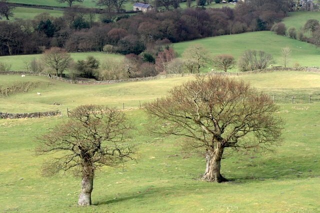 Foto „Farndale East“ von Mick Garratt (CC BY-SA)/zugeschnittenes Original