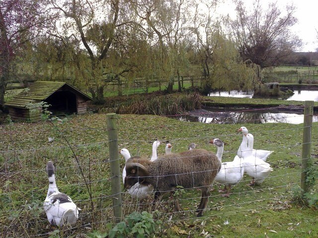 Foto „Gawcott with Lenborough“ von mick finn (CC BY-SA)/zugeschnittenes Original