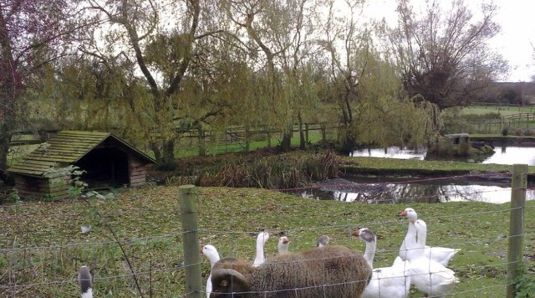 Foto „Gawcott with Lenborough“ von mick finn (CC BY-SA)/zugeschnittenes Original