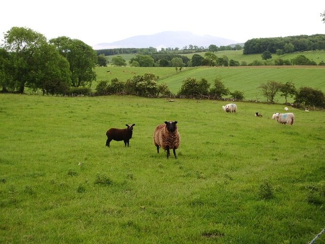 Foto "Bridekirk" de Alexander P Kapp (CC BY-SA) / Recortada do original