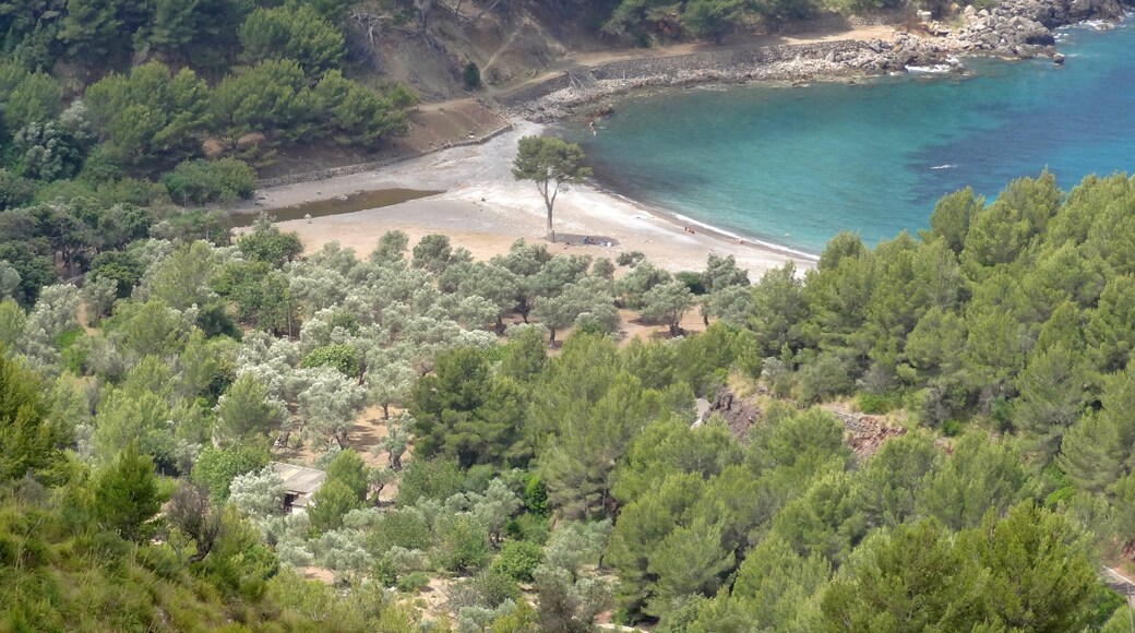 Photo "Cala Tuent" by Oltau (CC BY) / Cropped from original