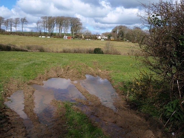 Field near Bradworthy. A similar view to 741009 across the same puddles. This scene has a different backdrop, with houses on the climb out of Bradworthy, on the lane to Berridon, again in SS3114.