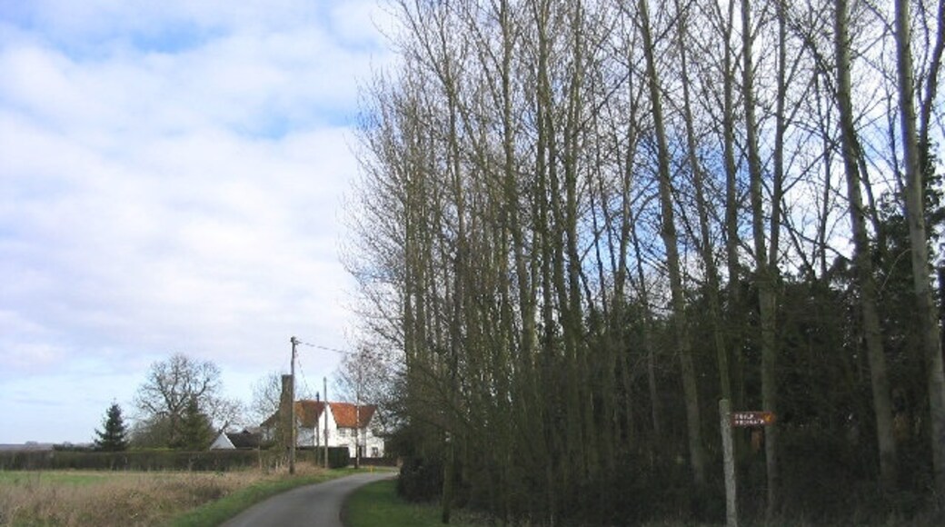 "Roxwell"-foto av John Winfield (CC BY-SA) / Urklipp från original