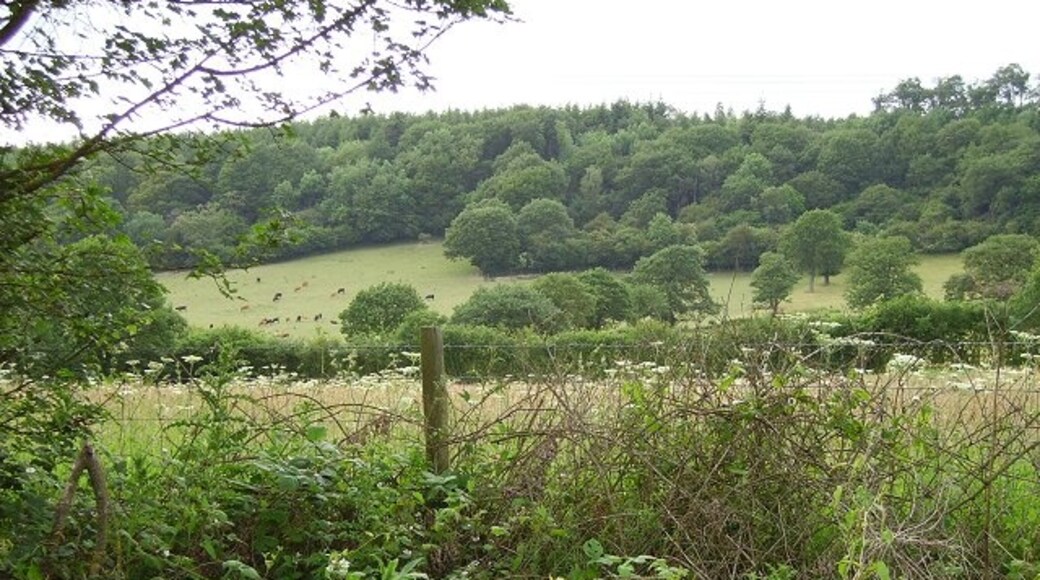 Photo "Pipe Aston" by Richard Webb (CC BY-SA) / Cropped from original