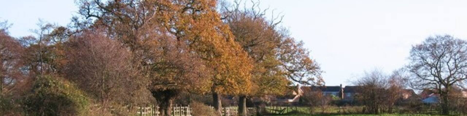 A thin strip of green The rural landscape between Knapton and the edge of York is a mere two fields wide.