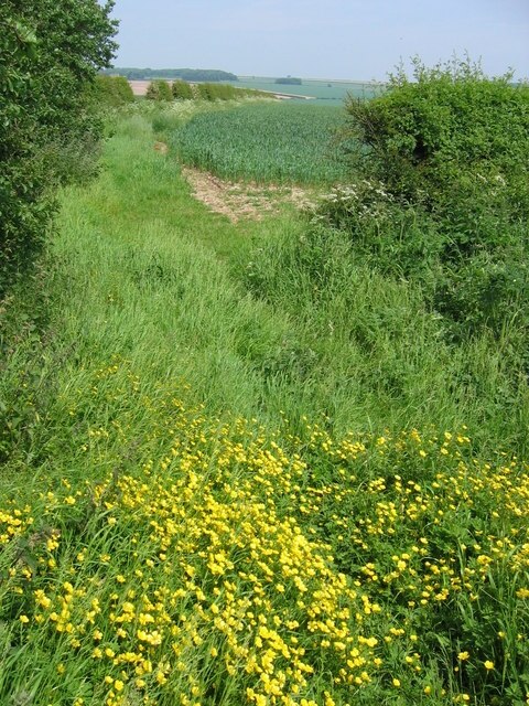 Ảnh "Garton" của Stephen Horncastle (CC BY-SA) / Cắt từ ảnh gốc