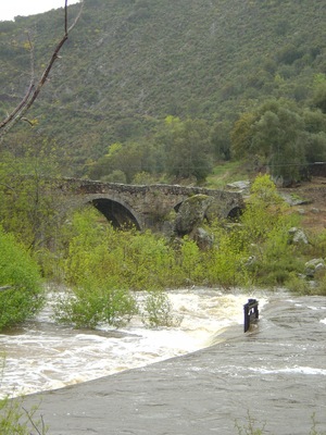 Puente
