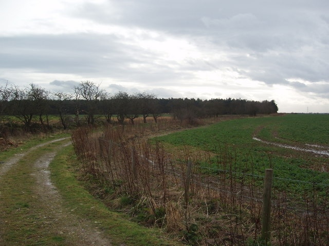 Foto “Overton” tomada por Robert Neilson (CC BY-SA); recorte de la original