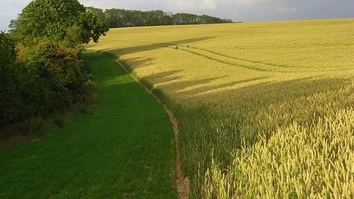 Foto “Parque Clarendon” tomada por Andrew Smith (CC BY-SA); recorte de la original