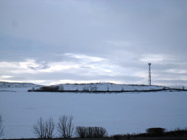 Photo "Burdon" by Philip Barker (CC BY-SA) / Cropped from original