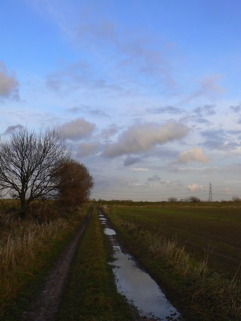 Ảnh "Gowdall" của bernard bradley (CC BY-SA) / Cắt từ ảnh gốc