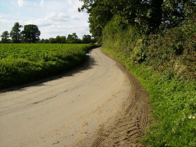 The lane from Ryton near Great Habton village.