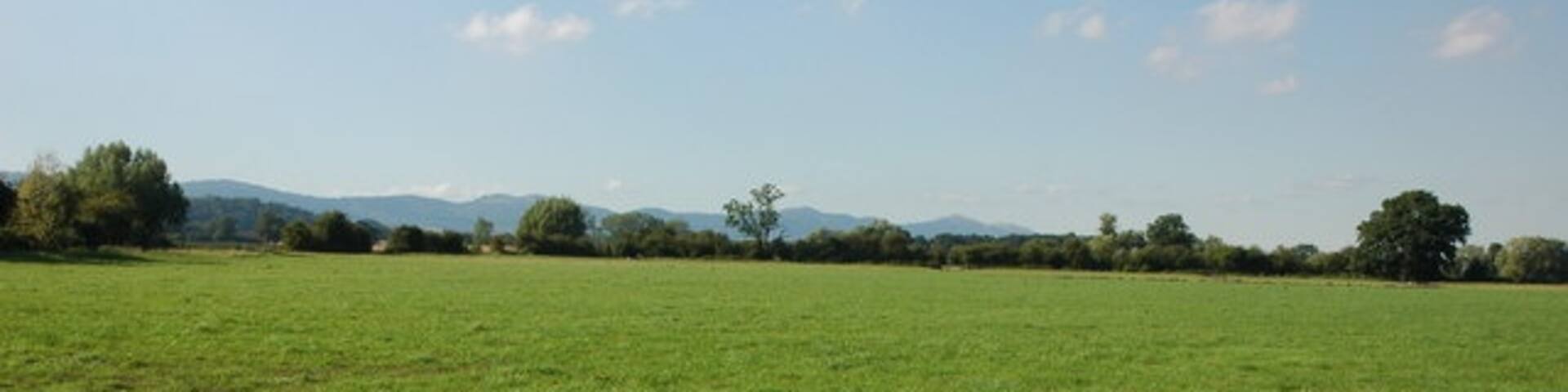 Eldersfield Marsh Eldersfield Marsh is a low lying floodplain to the south of the larger Longdon Marsh. Normally these meadows only flood during the winter, however, one month before this picture was taken this land was flooded in a rare summer flood. The Malvern Hills are on the horizon.