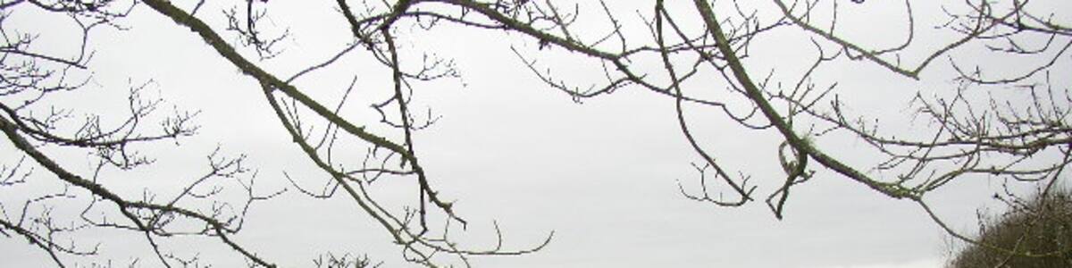 Photo "Iron-Age earthworks, Llanddewi Velfrey. This is Caerau Gaer on the map, and is taken from the bridleway that climbs up from the church" by Humphrey Bolton (Creative Commons Attribution-Share Alike 2.0) / Cropped from original