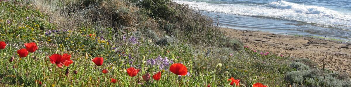 Photo "porto alabe" by fadda domenico ange… (Creative Commons Attribution-Share Alike 3.0) / Cropped from original