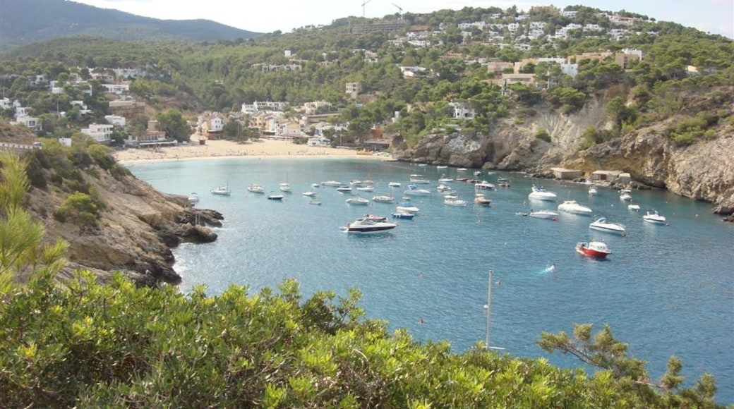 Photo "Cala Vadella" by anibal amaro (CC BY) / Cropped from original