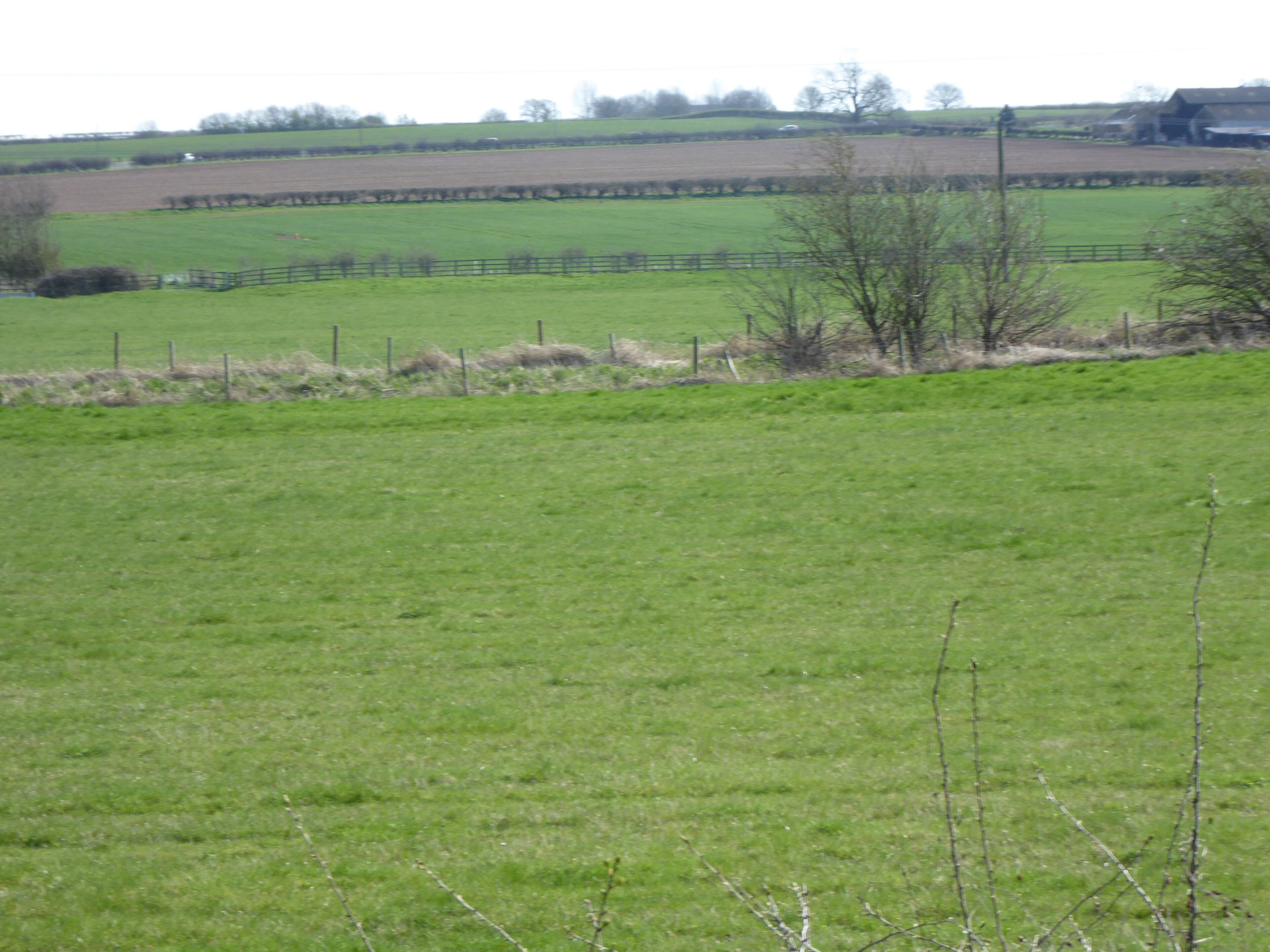 Kuva ”Great Doddington” käyttäjältä Dudley Miles (CC BY-SA) / rajattu alkuperäisestä kuvasta