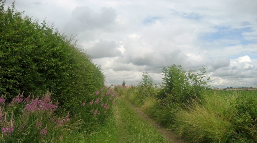 Foto "Bardsey" de Chris Heaton (CC BY-SA) / Recortada de la original