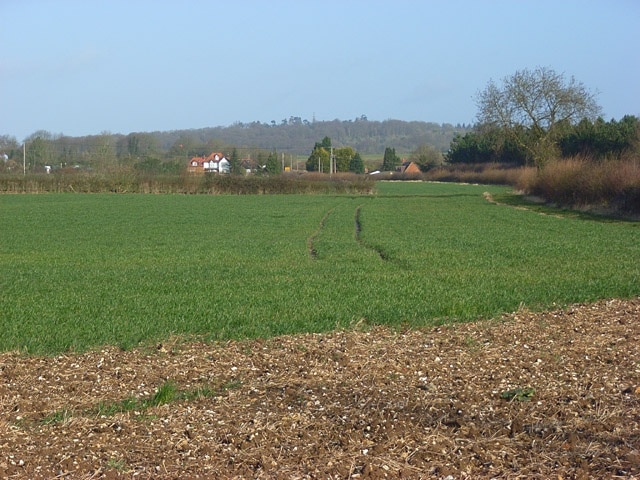 Photo "Great Marlow" by Andrew Smith (CC BY-SA) / Cropped from original