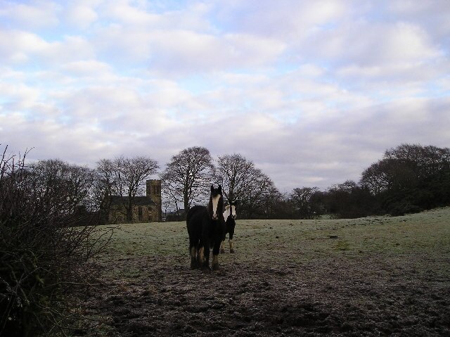 The Kirk. Dunlop Kirk, I took the photograph from the southwest viewed by two inquisitive horses.