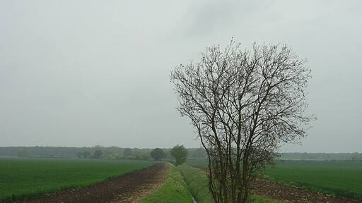 Billede "Tupholme" af Alan Murray-Rust (CC BY-SA) / beskåret fra det originale billede