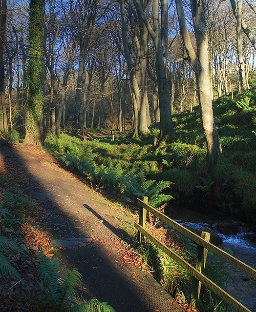 The footpath through Colby Glen A good path takes a safe route through this steep wooded gorge.