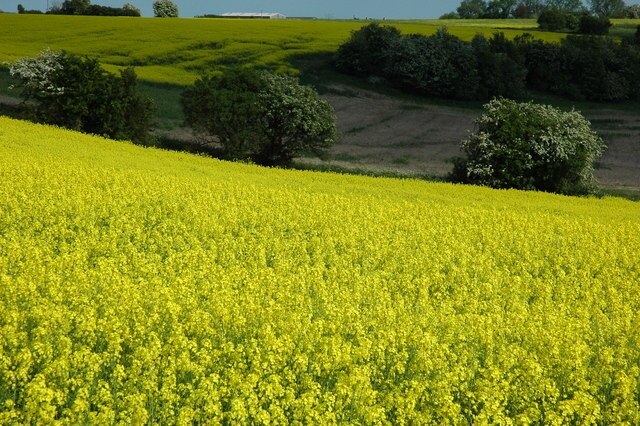 Billede "Sevenhampton" af Philip Halling (CC BY-SA) / beskåret fra det originale billede