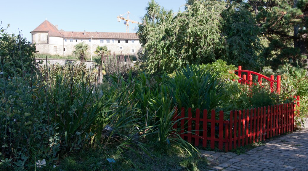 Hoteles cerca de Jardín botánico de Bayona, Bayona
